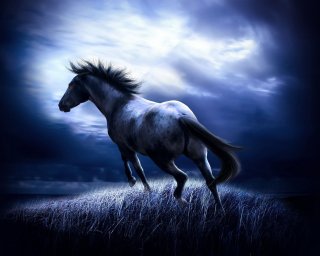 WildHorse