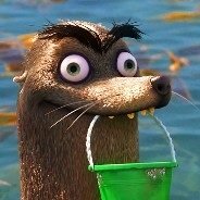 Vqziclp